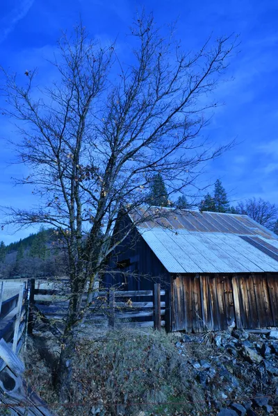 DSC_5827 (Large).JPG